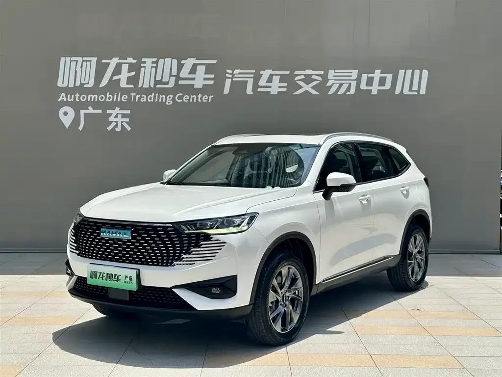 Haval H6 New Energy — фото 1