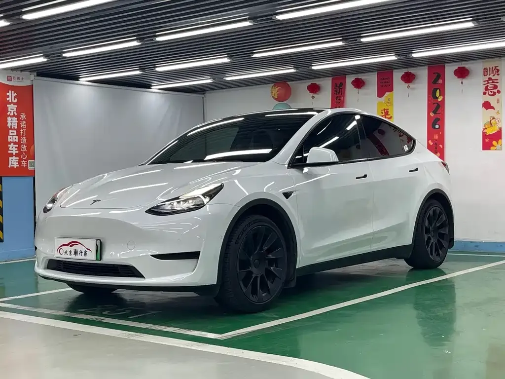 Tesla Model Y — фото 1