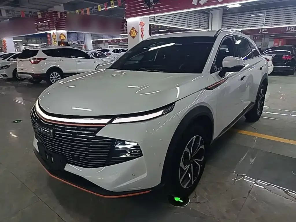 Haval Shenshou — фото 10