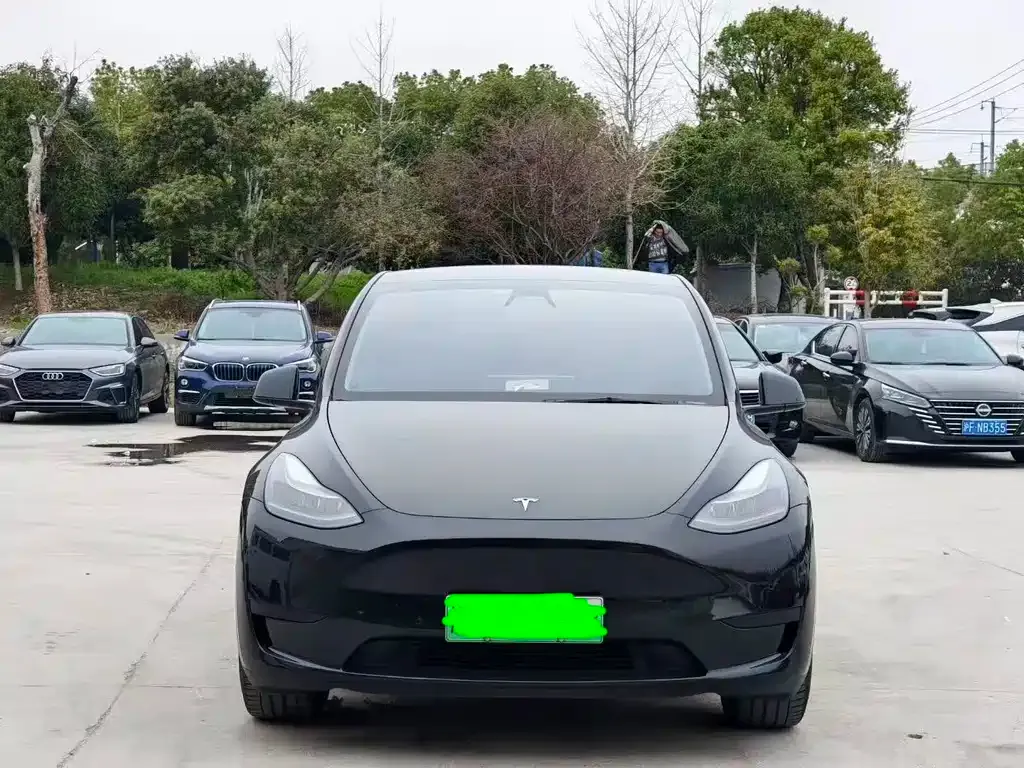 Tesla Model Y — фото 3