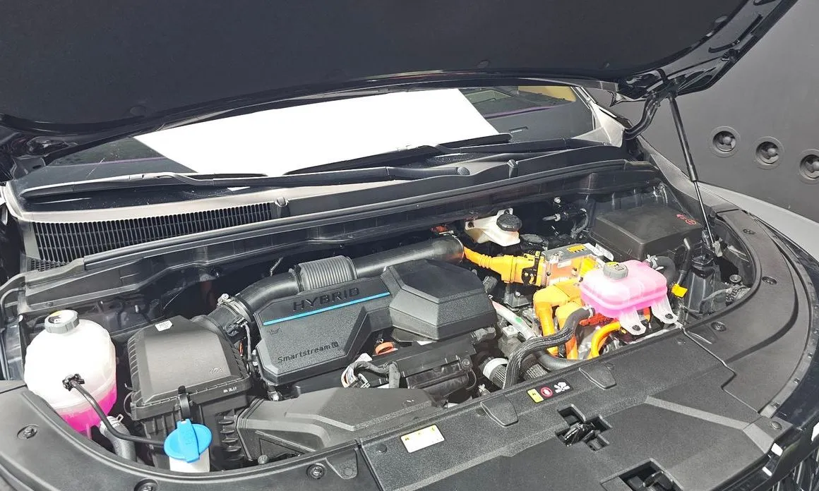 Kia Carnival — фото 10