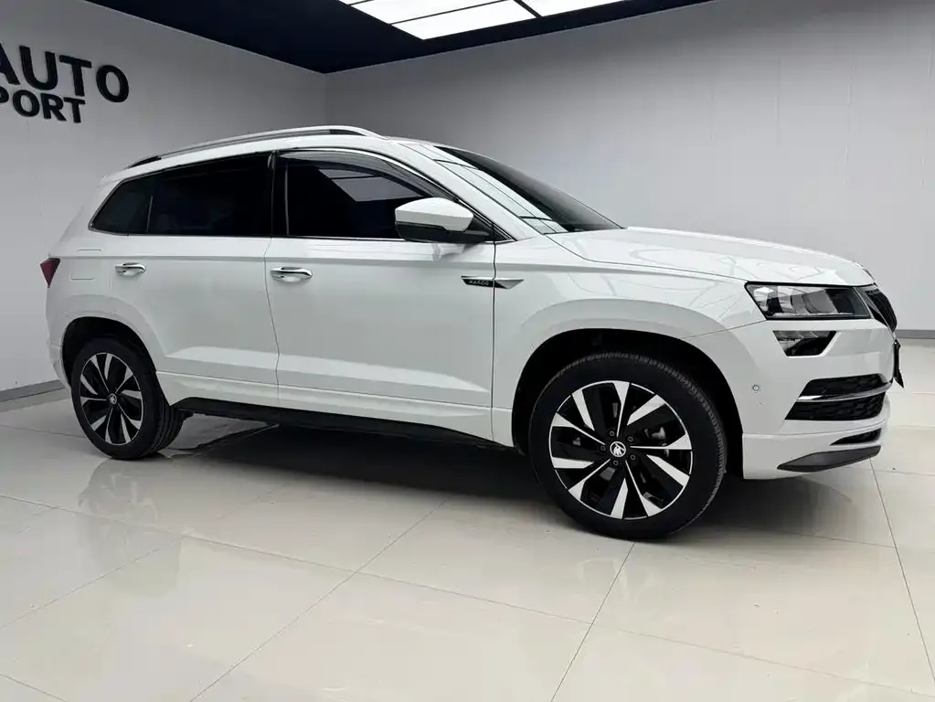 Skoda Karoq — фото 4