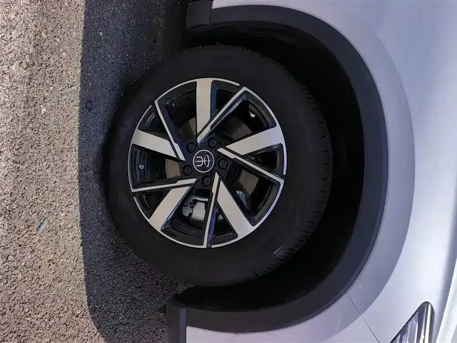 BYD Pro New Energy — фото 10