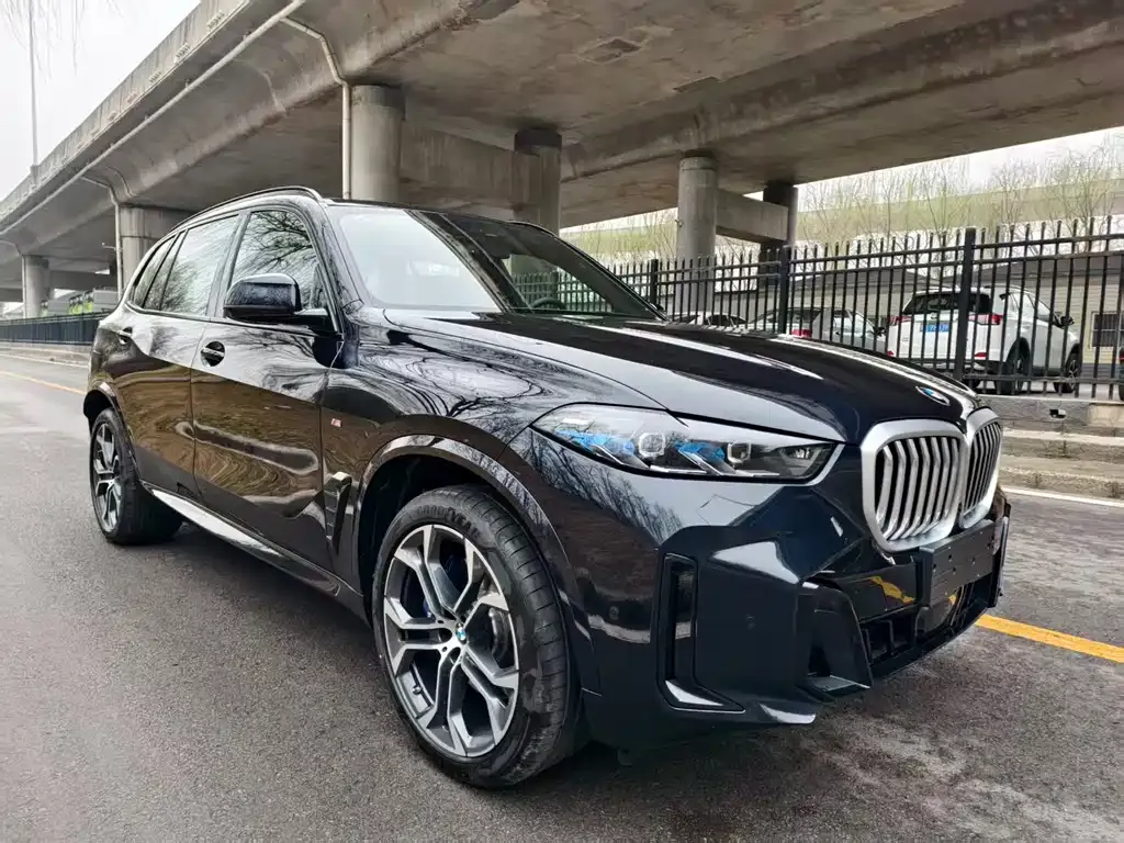 BMW X5 — фото 10