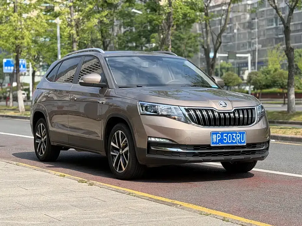 Skoda Kamiq — фото 10