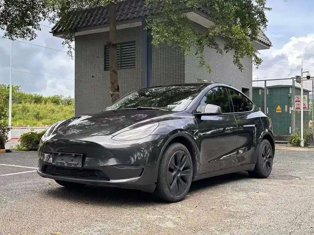 Tesla Model Y — фото 1