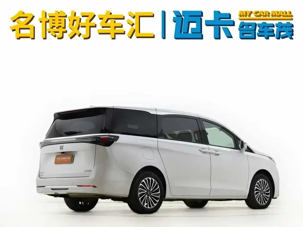 Buick GL8 Hybrid — фото 10