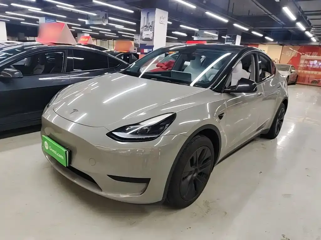 Tesla Model Y — фото 10