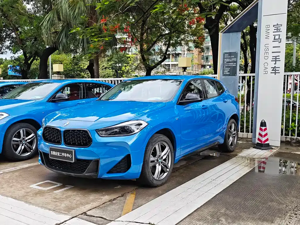 BMW X2 — фото 1