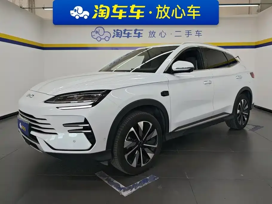 BYD PLUS New Energy — фото 1