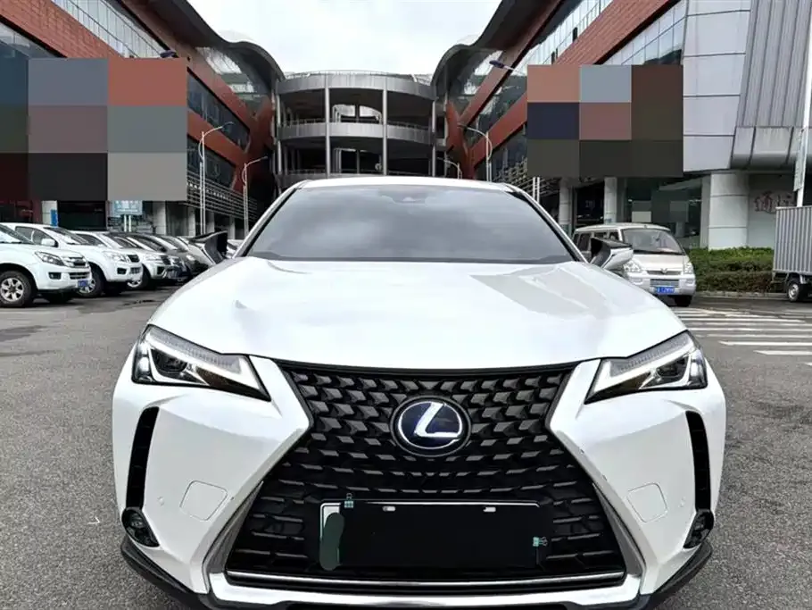 Lexus UX New Energy — фото 10