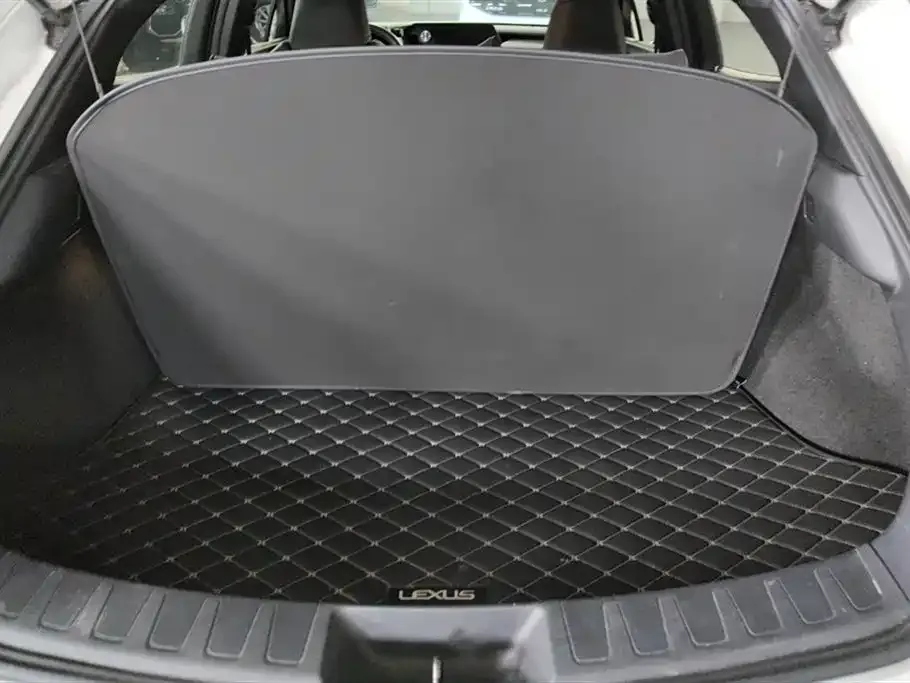 Lexus UX New Energy — фото 6