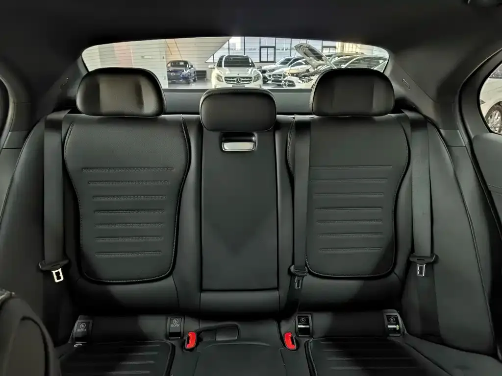 Mercedes-Benz C-Class New Energy — фото 2