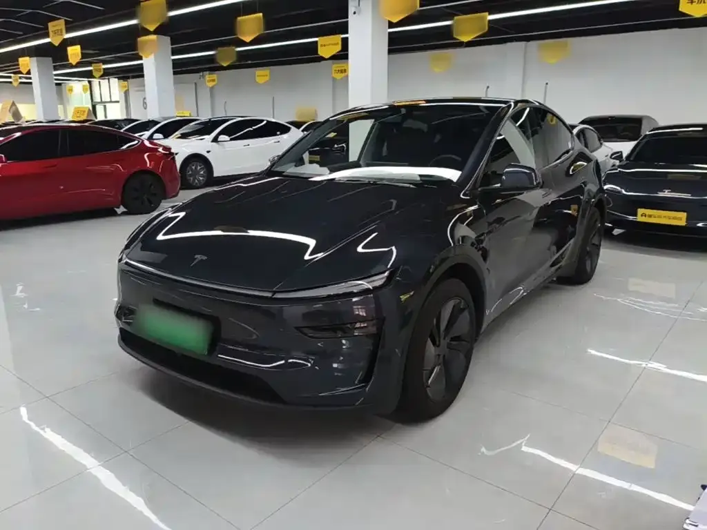 Tesla Model Y — фото 1