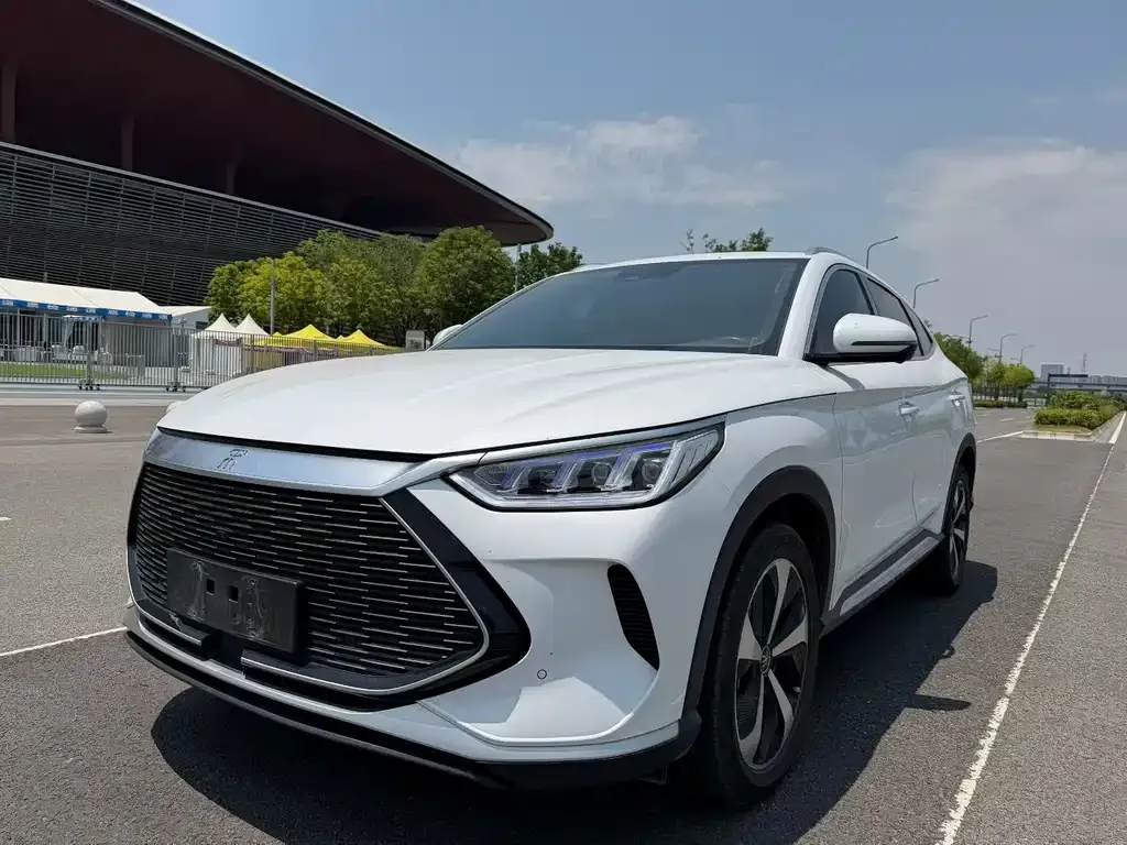 BYD PLUS New Energy — фото 1