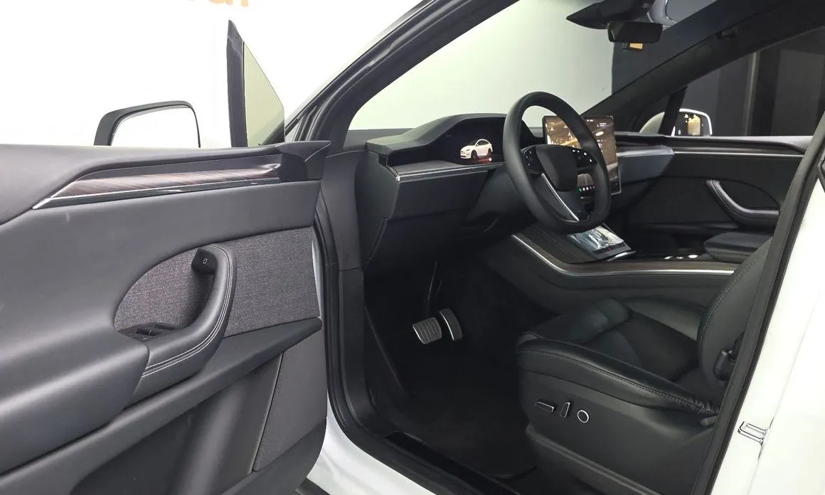 Tesla Model X — фото 10