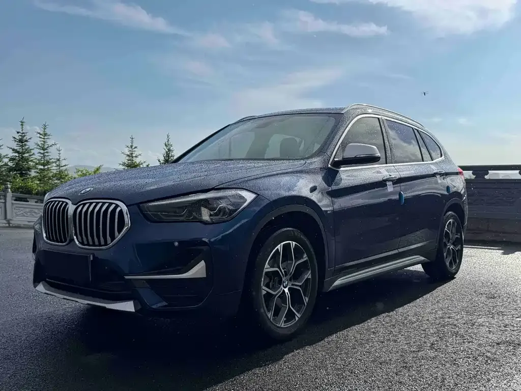 BMW X1 — фото 1