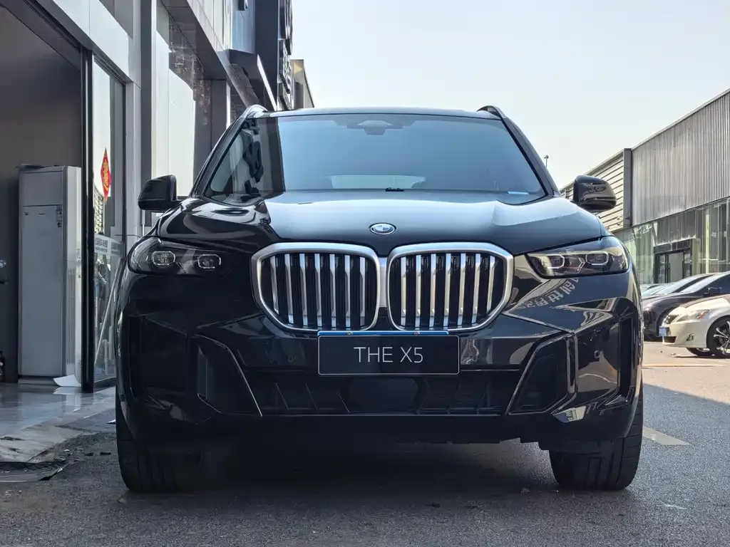 BMW X5 — фото 10