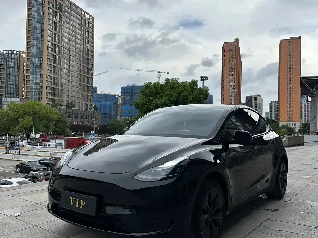 Tesla Model Y — фото 1
