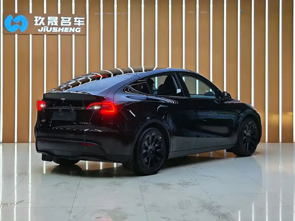 Tesla Model Y — фото 2