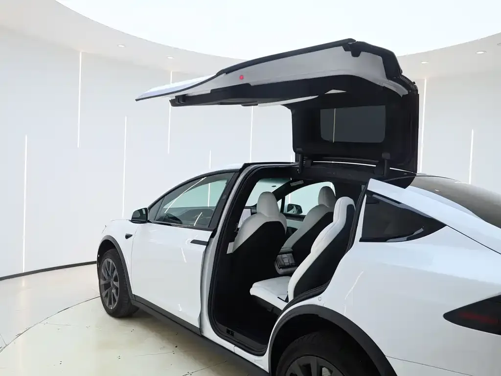 Tesla Model X — фото 9