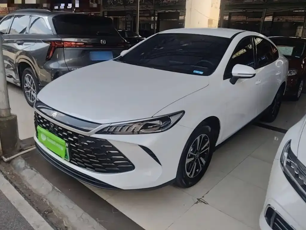 BYD Qin PLUS — фото 1