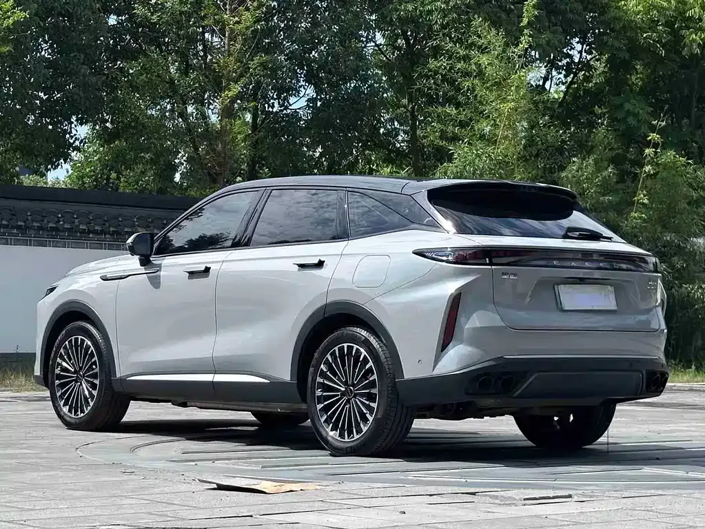 Exeed Yaoguang C-DM — фото 10