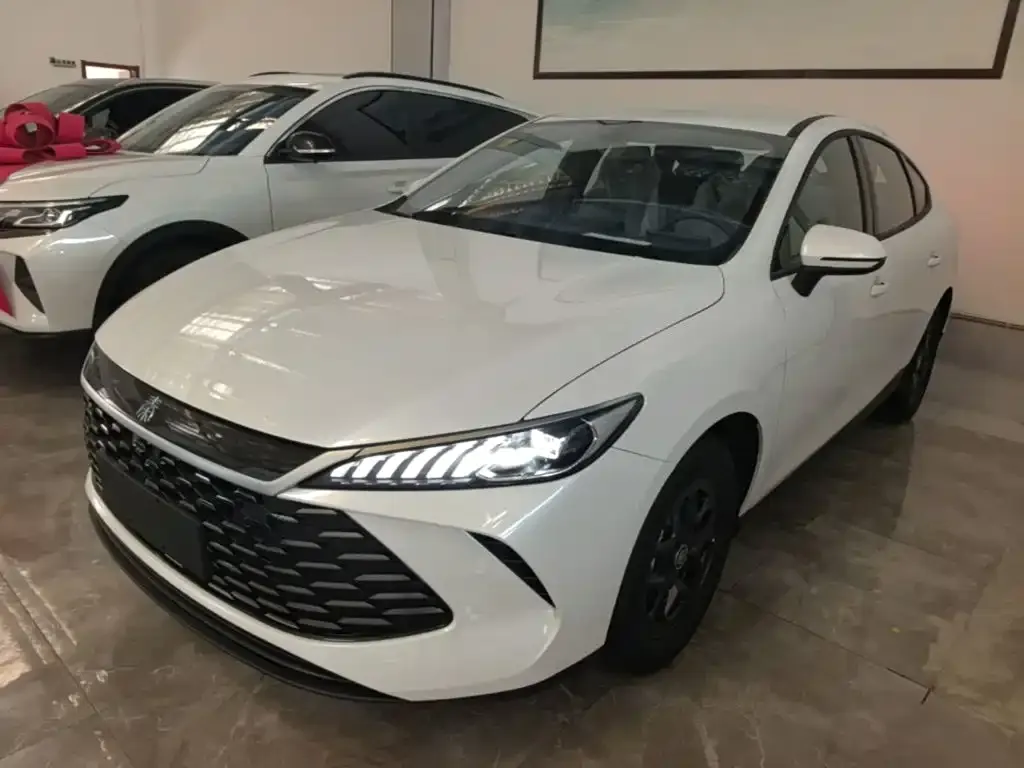 BYD Qin PLUS — фото 4