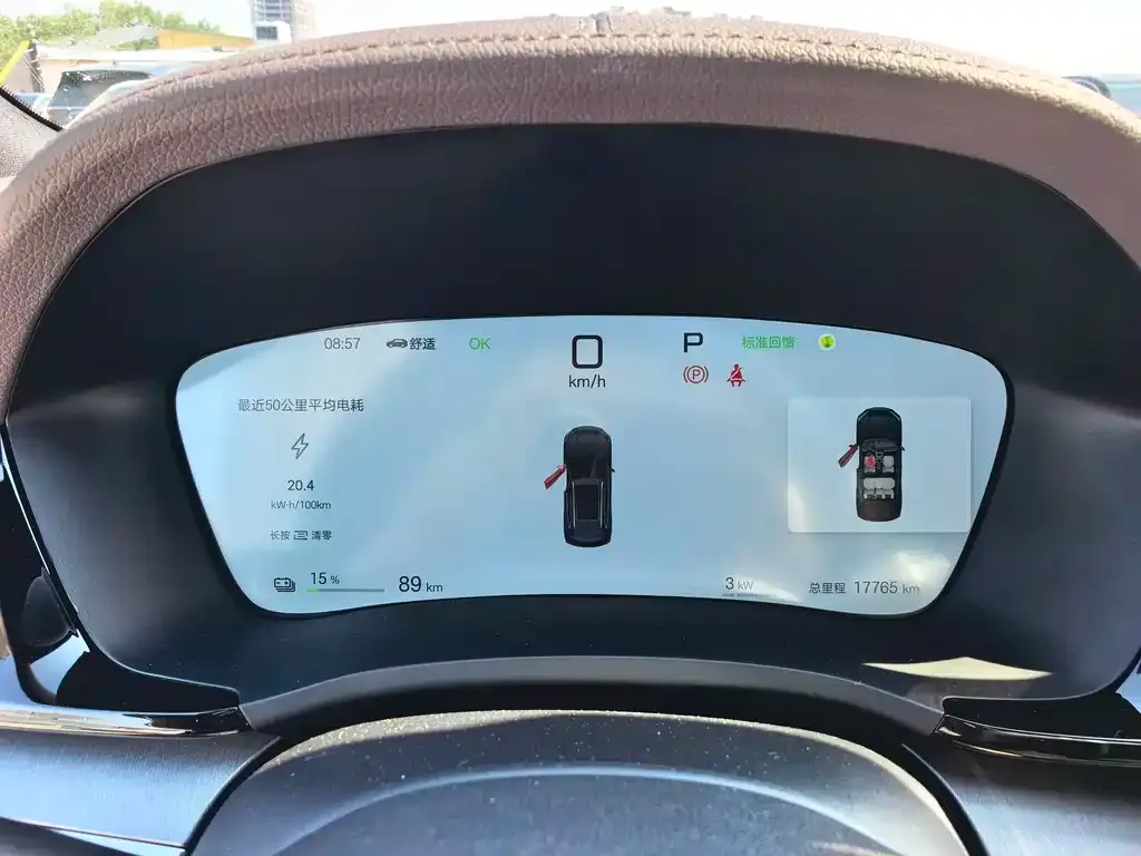 BYD PLUS New Energy — фото 8
