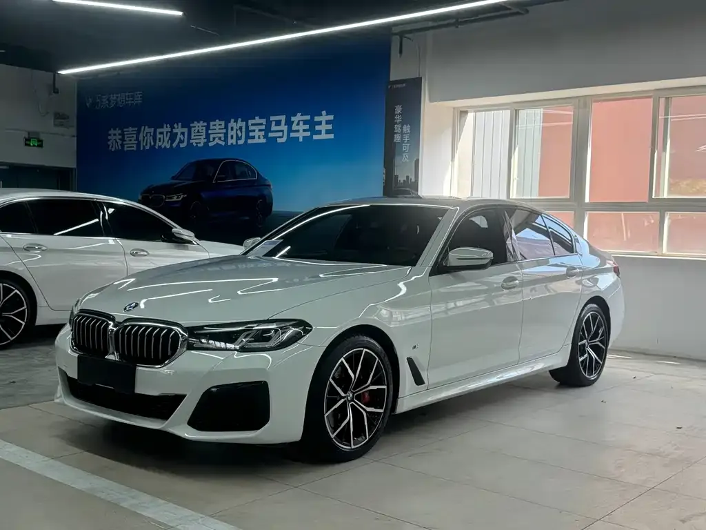 BMW 5 Series (Import) — фото 1