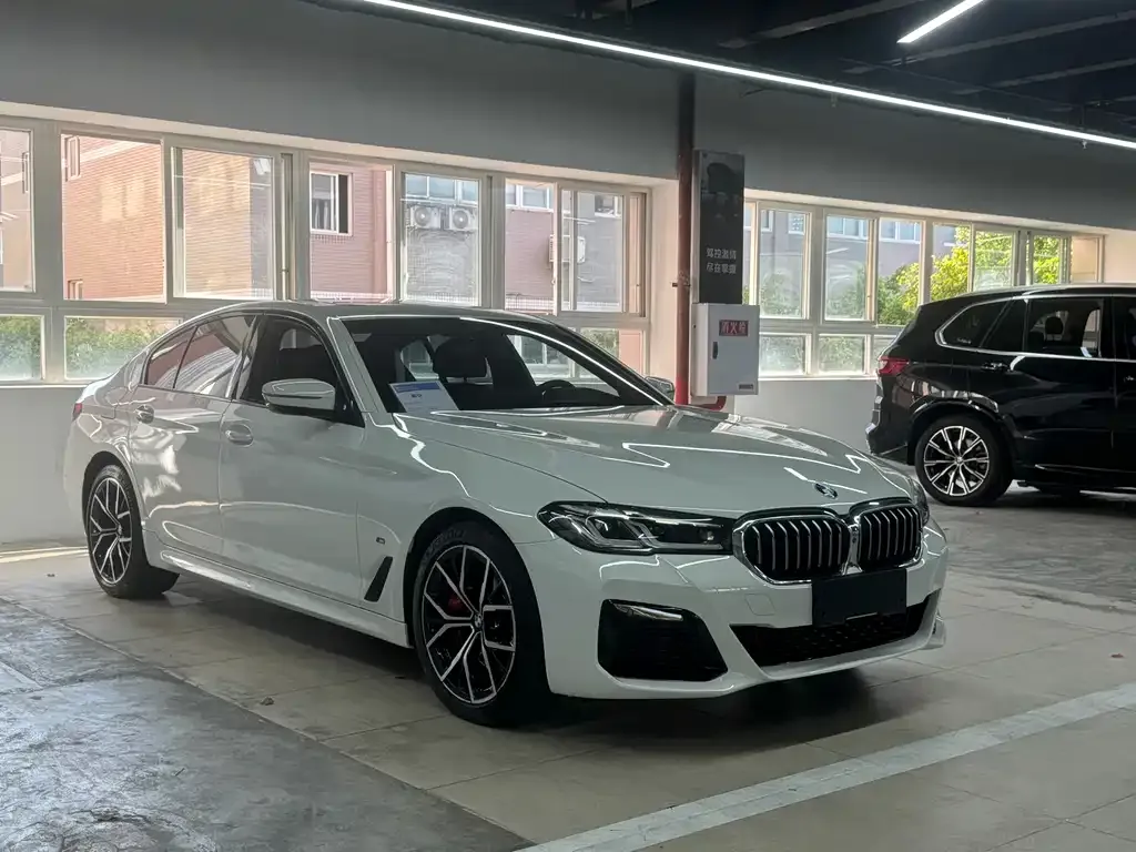 BMW 5 Series (Import) — фото 7