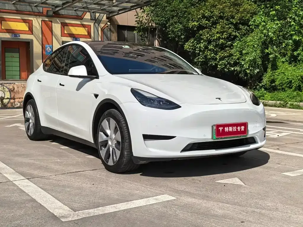 Tesla Model Y — фото 6