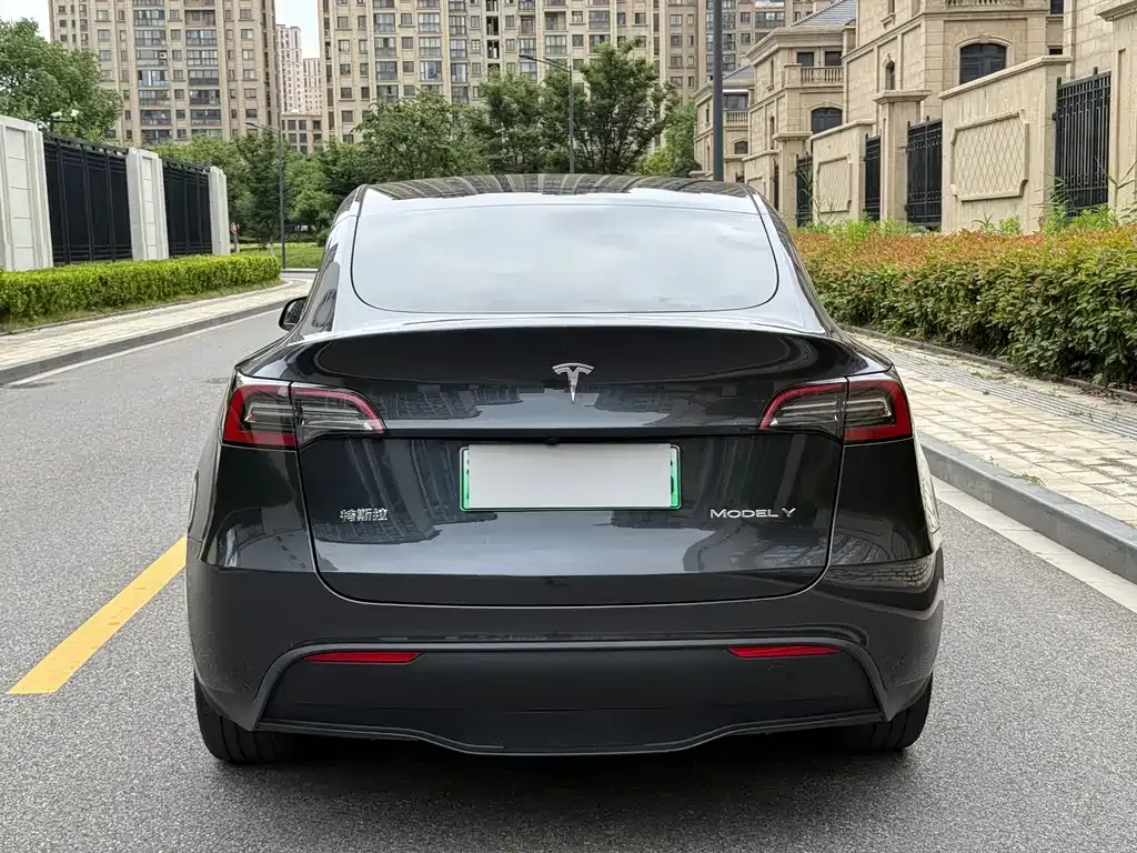 Tesla Model Y — фото 8