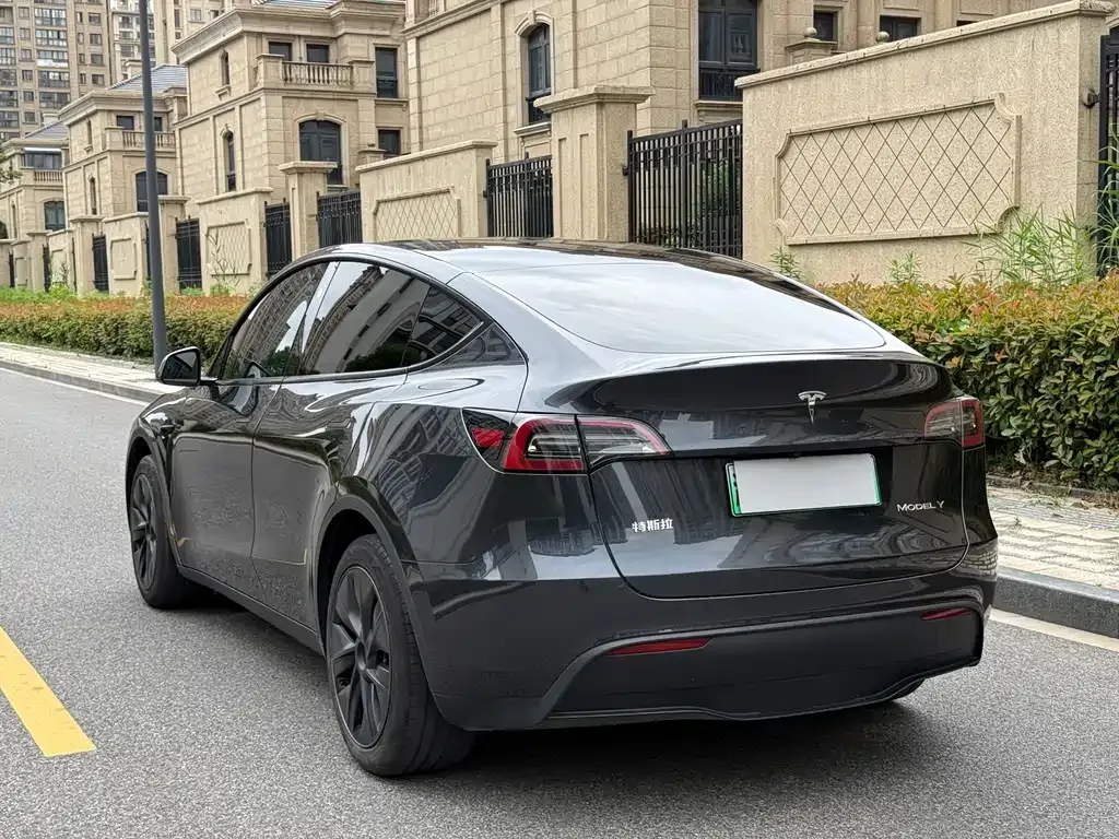 Tesla Model Y — фото 6