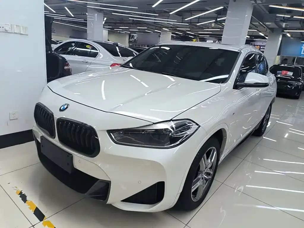 BMW X2 — фото 1