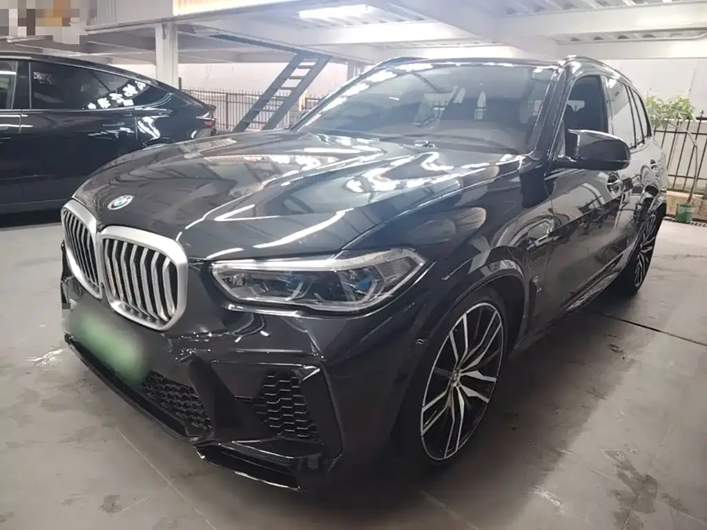 BMW X5 New Energy (Import) — фото 1