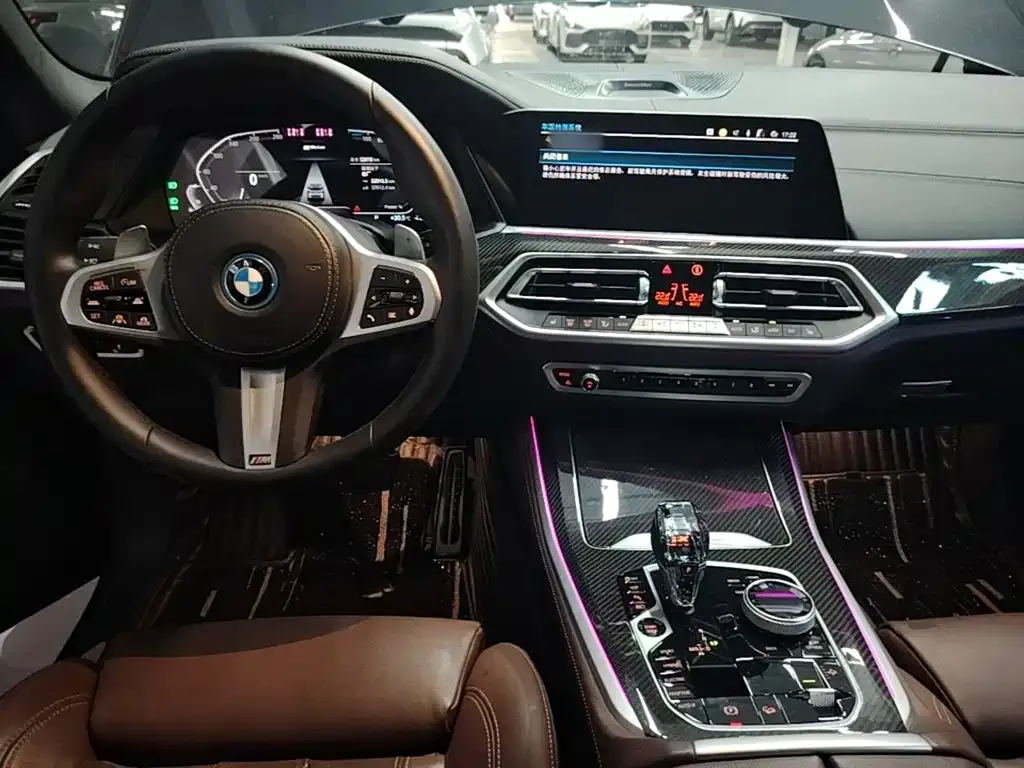 BMW X5 New Energy (Import) — фото 8