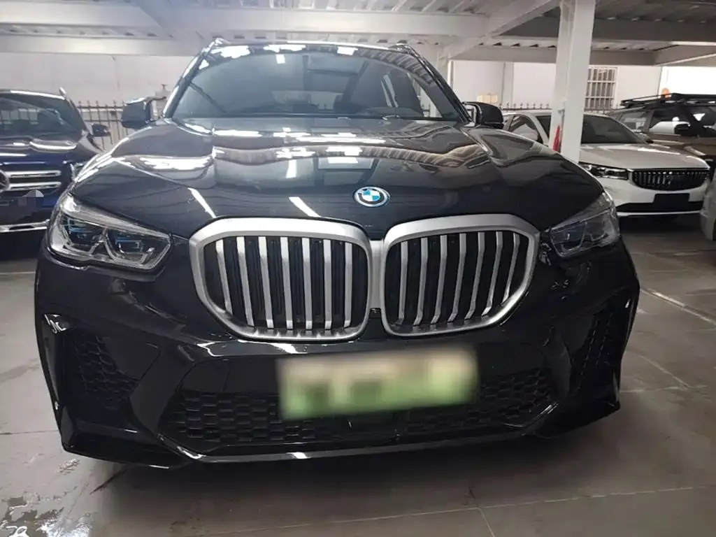 BMW X5 New Energy (Import) — фото 5