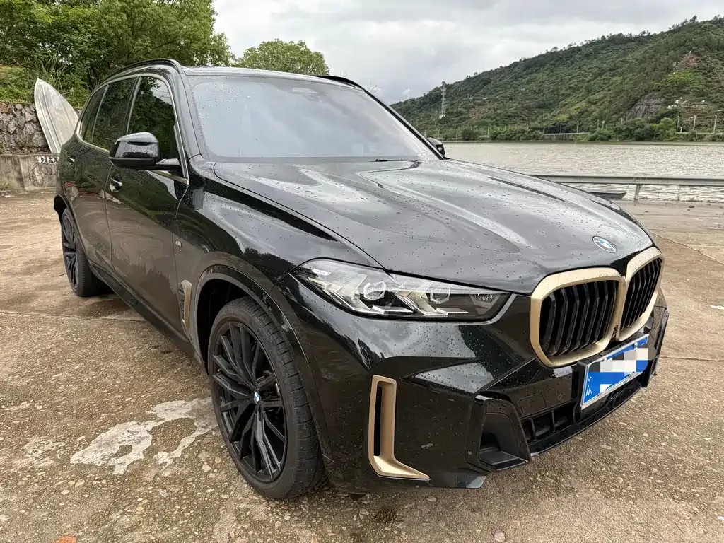 BMW X5 — фото 3