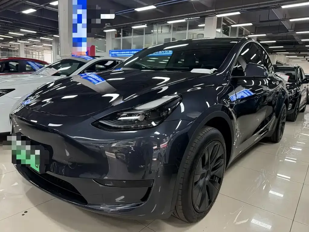 Tesla Model Y — фото 1