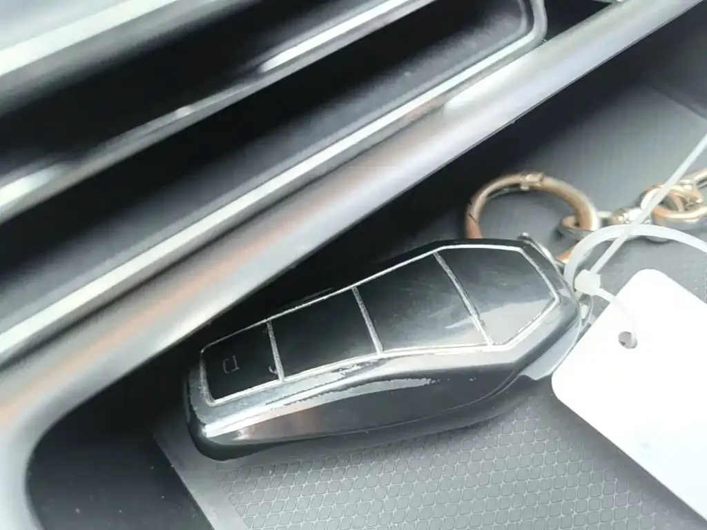 BYD Pro New Energy — фото 2