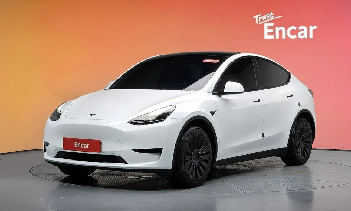 Tesla Model Y — фото 1