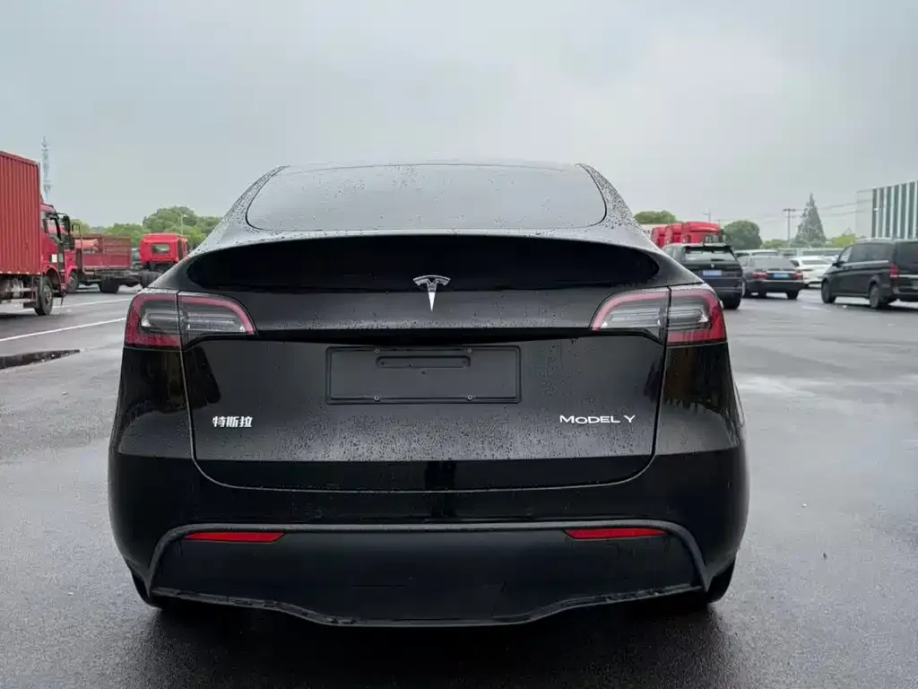 Tesla Model Y — фото 8
