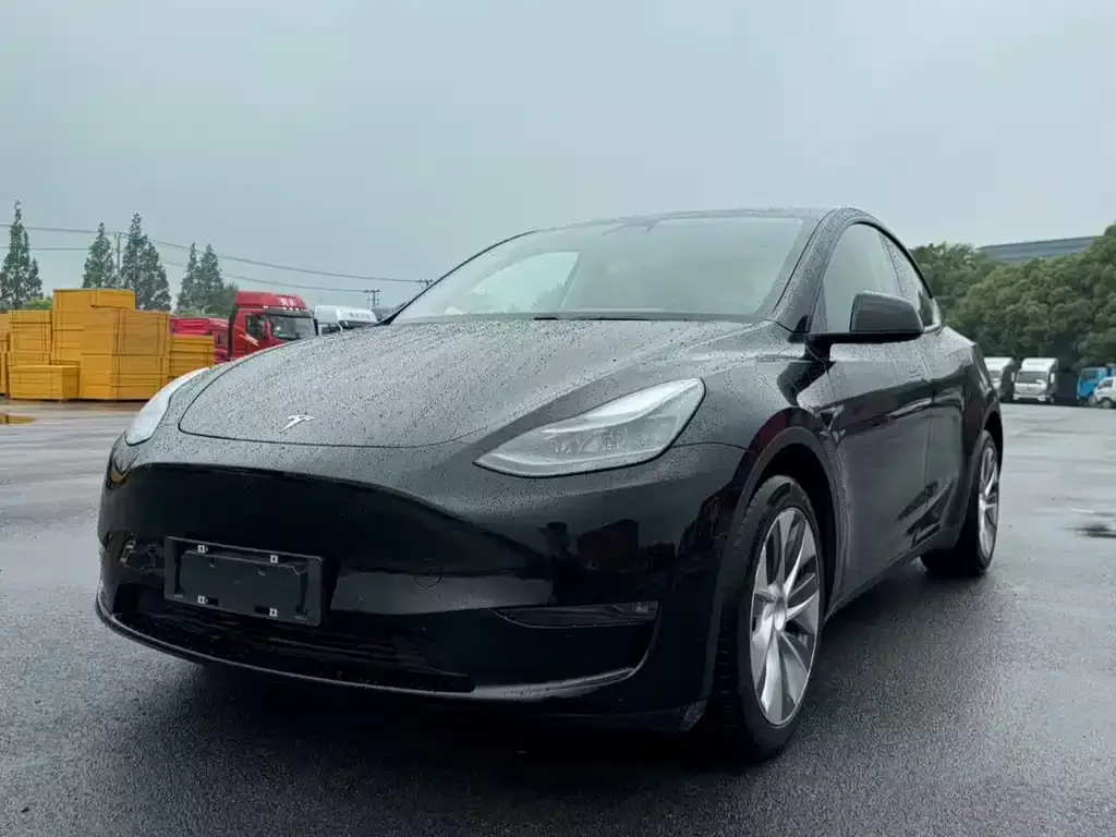 Tesla Model Y — фото 5