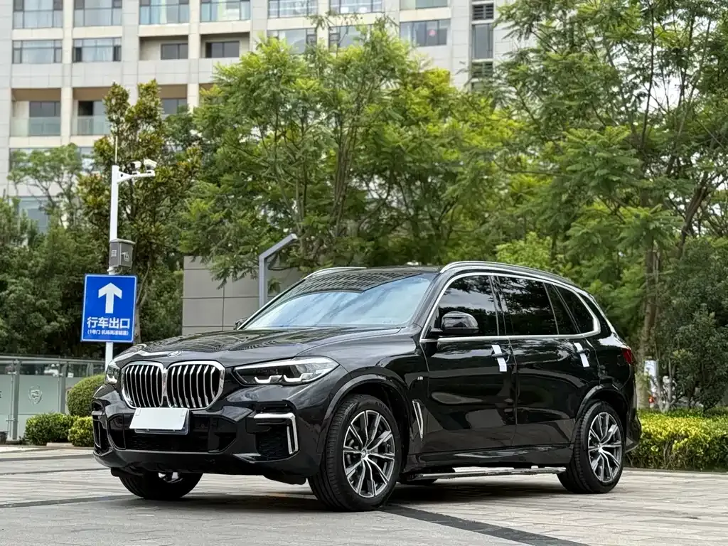 BMW X5 — фото 1
