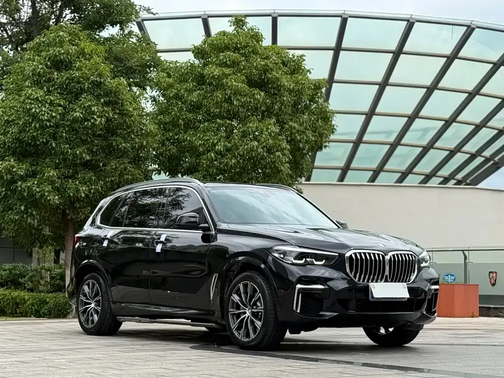 BMW X5 — фото 5