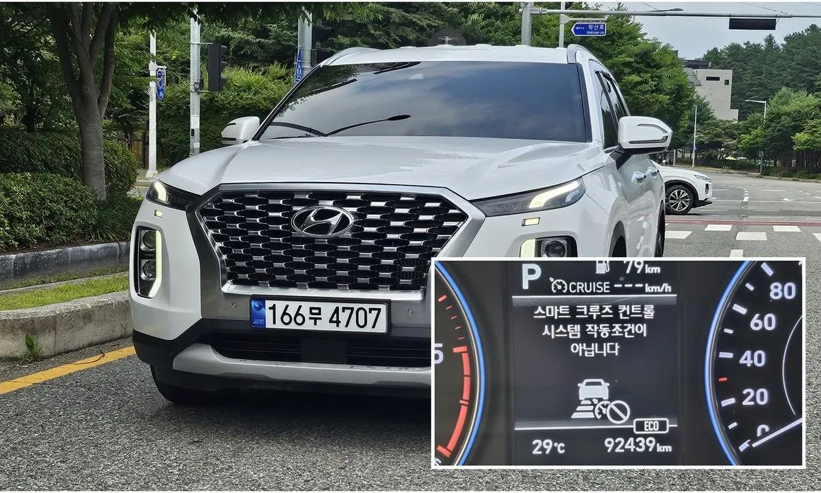Hyundai Palisade — фото 1