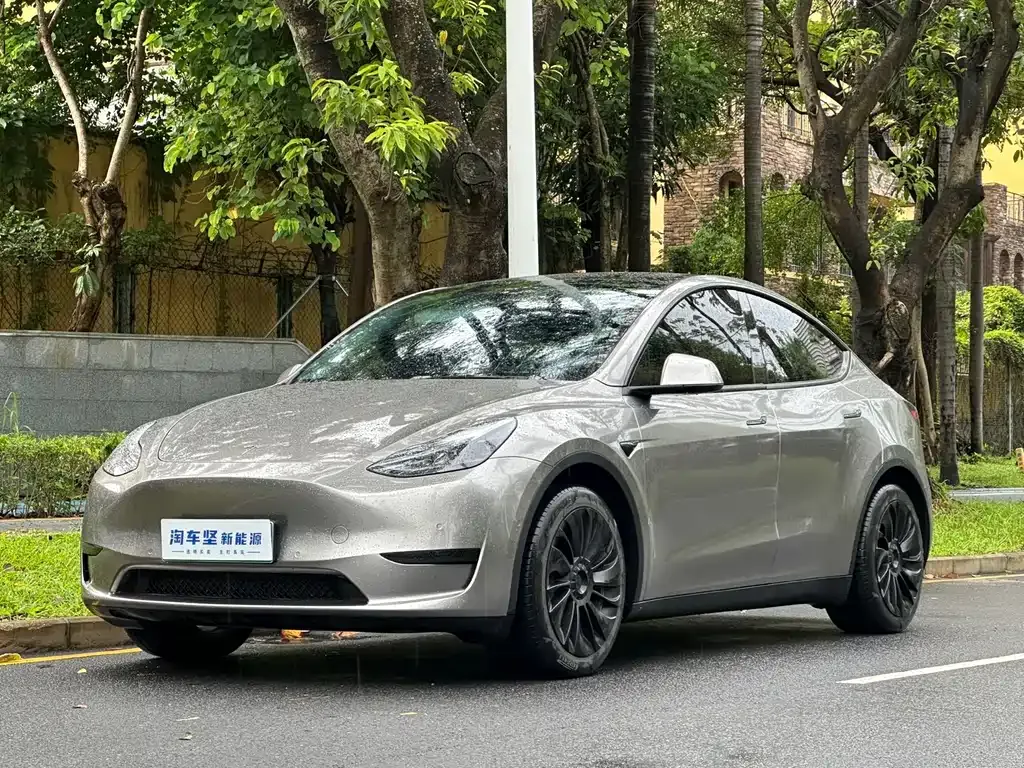 Tesla Model Y — фото 1