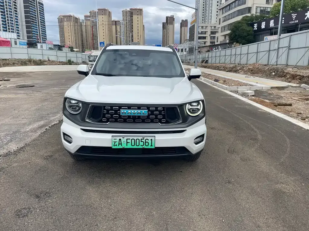 Haval Big Dog PLUS New Energy — фото 4