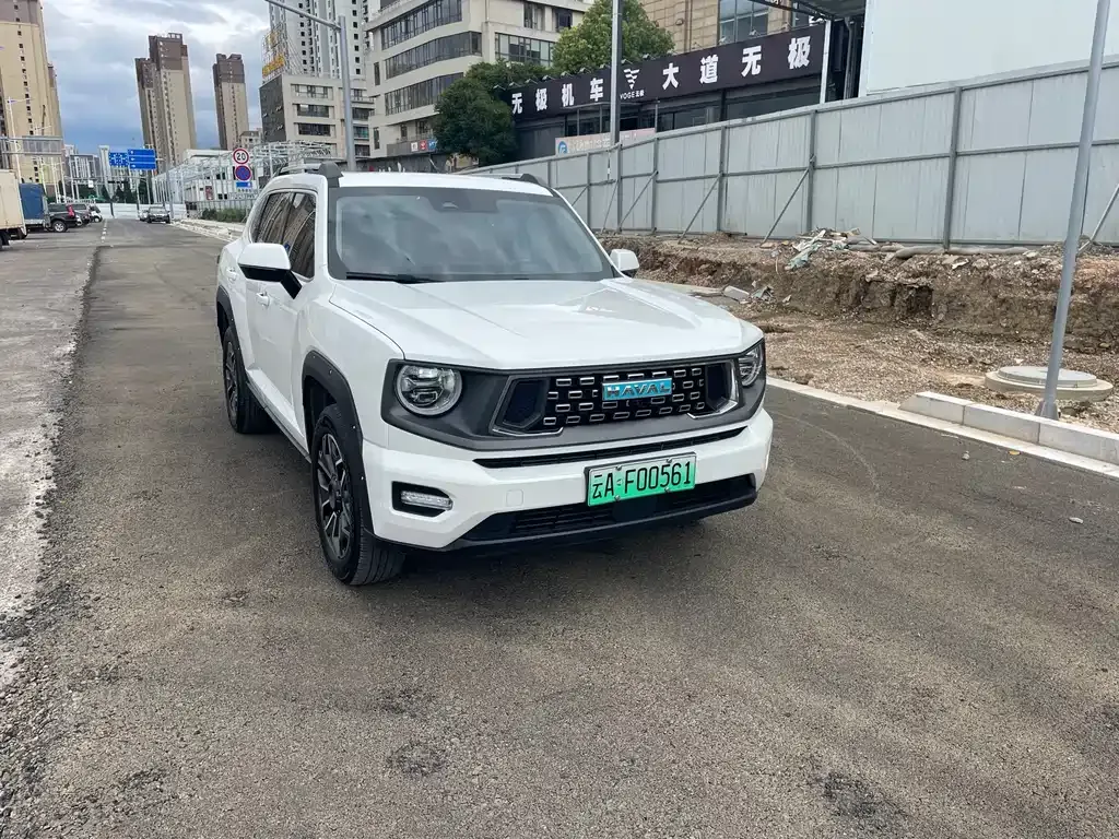 Haval Big Dog PLUS New Energy — фото 9